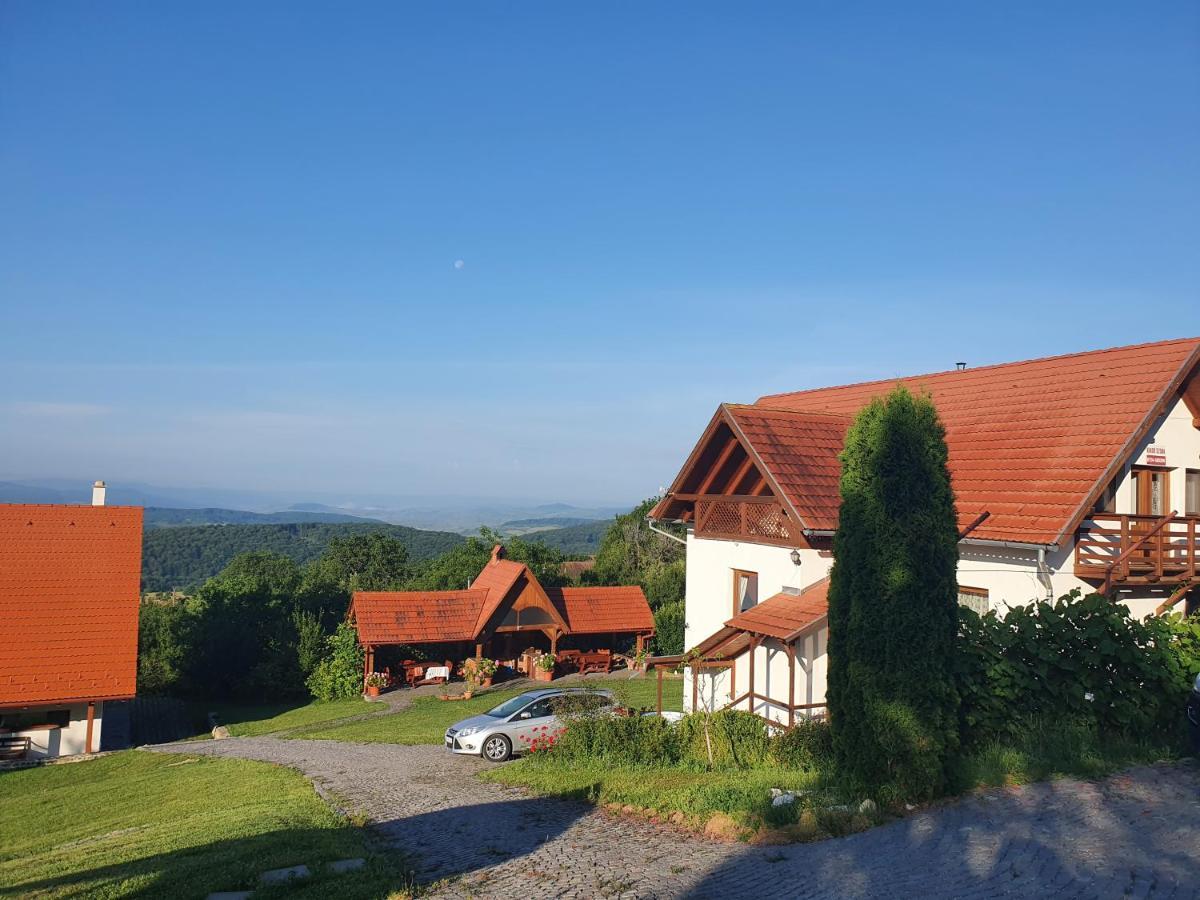 Pensiunea Szilas Panzió Păuleni Exterior foto