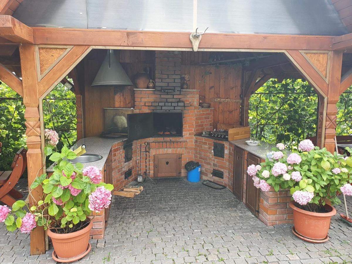 Pensiunea Szilas Panzió Păuleni Exterior foto