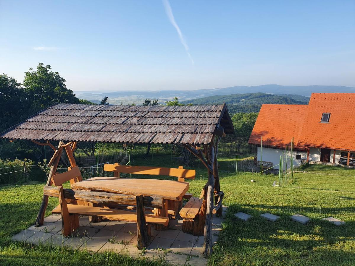 Pensiunea Szilas Panzió Păuleni Exterior foto