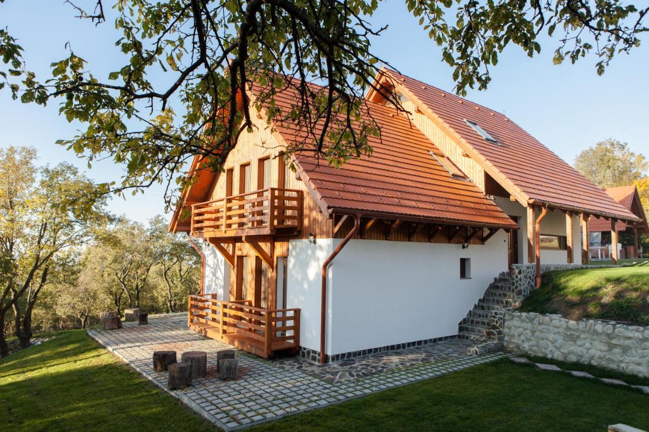 Pensiunea Szilas Panzió Păuleni Exterior foto