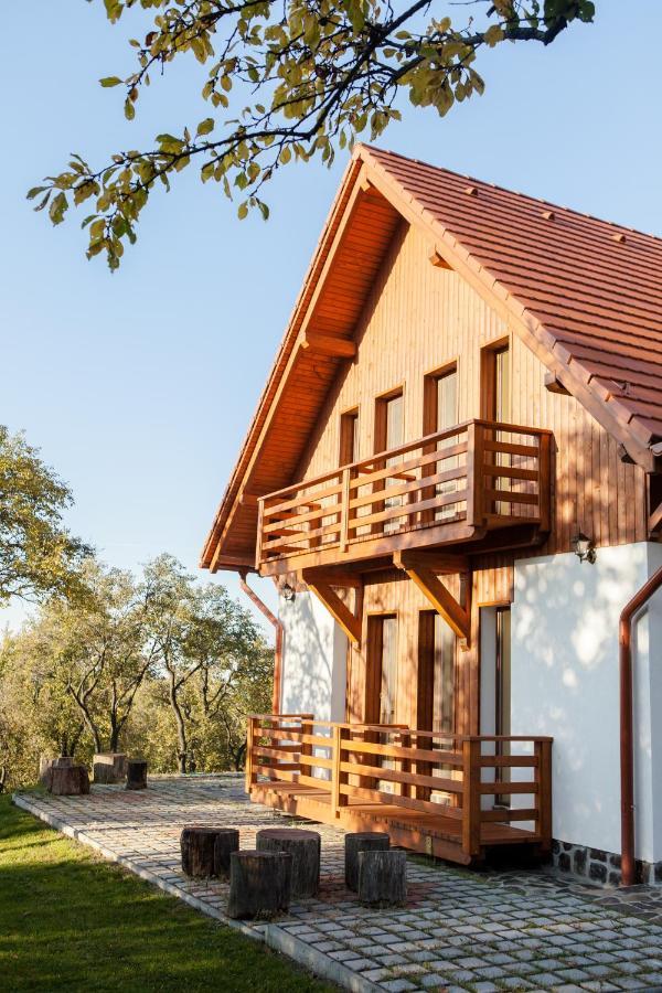 Pensiunea Szilas Panzió Păuleni Exterior foto