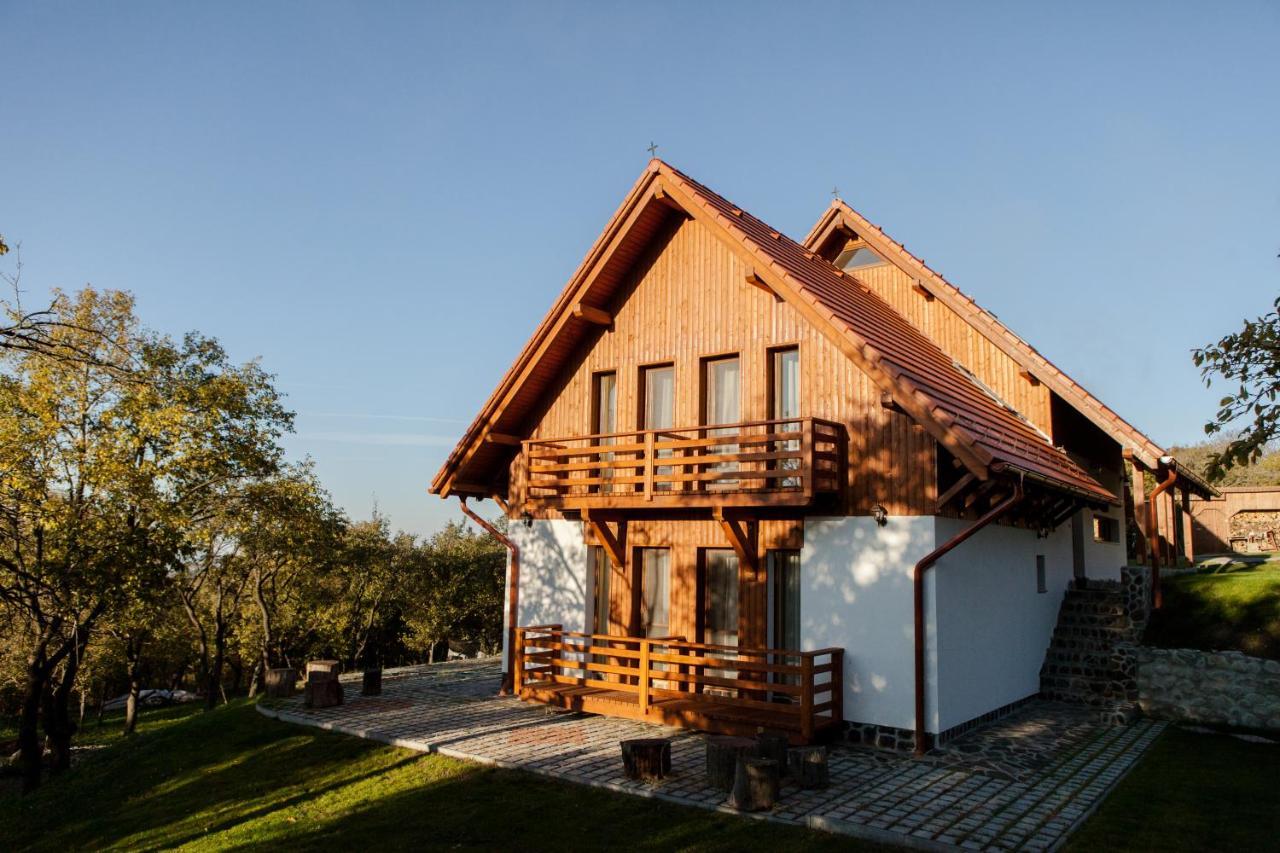 Pensiunea Szilas Panzió Păuleni Exterior foto