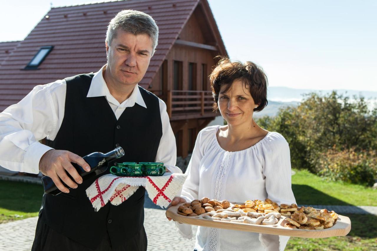 Pensiunea Szilas Panzió Păuleni Exterior foto